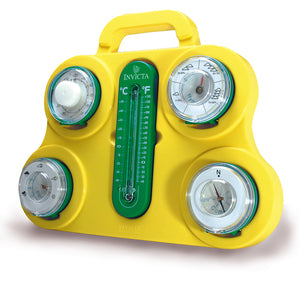 Invicta Weather Station