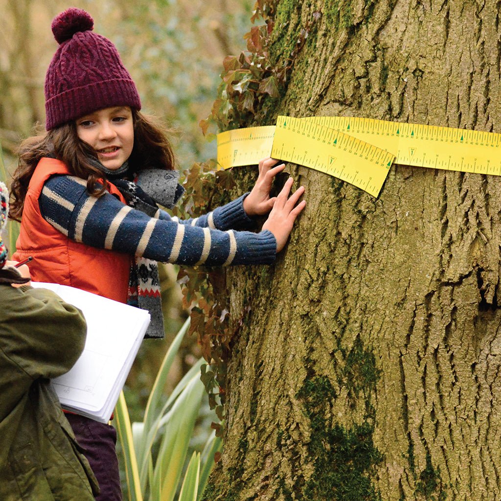 Science Display Tree Tree Science™ Kit – Invicta Education